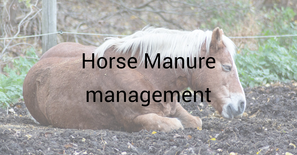 5 Reasons for Horse Manure Management The Barnyard Supply Co