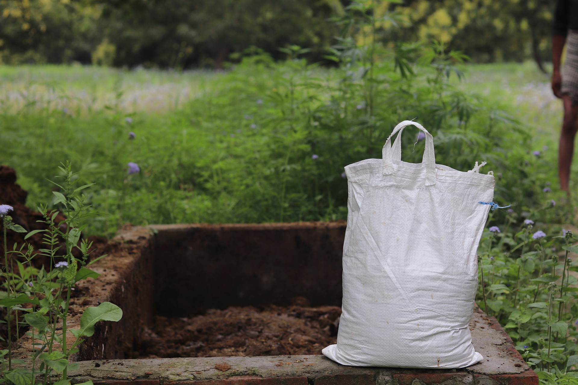 5 Reasons for Horse Manure Management - The Barnyard Supply Co