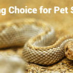 best pet snake bedding